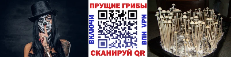 Галлюциногенные грибы Magic Shrooms  Касимов 