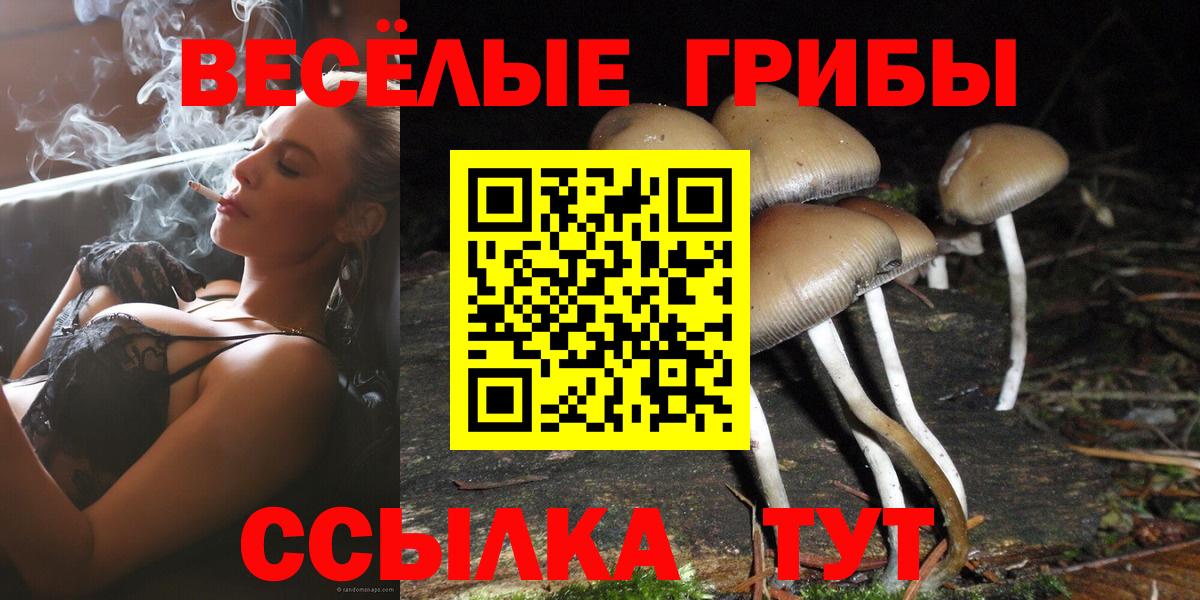 Касимов  Псилоцибиновые грибы GOLDEN TEACHER  Галлюциногенные грибы мицелий  Вход с VPN 