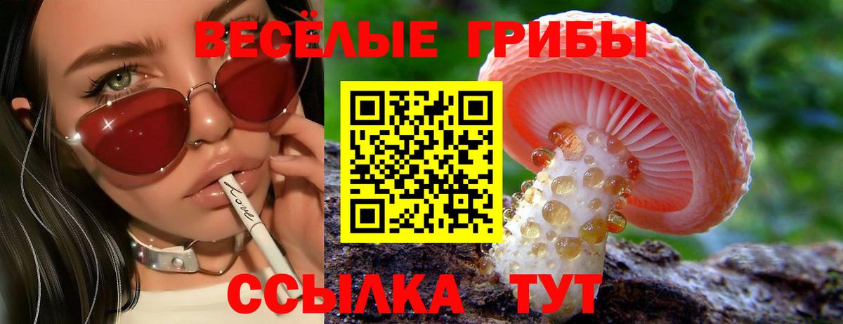 Галлюциногенные грибы Magic Shrooms Касимов