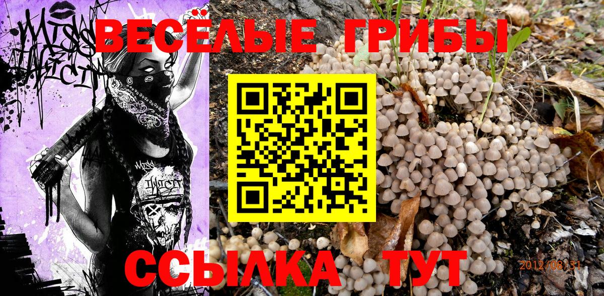 A-PVP Касимов