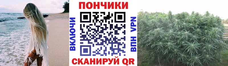 где продают   Касимов  Бошки Шишки тримм 